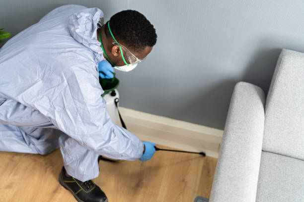 Best Fumigation Services  in Corning, NY